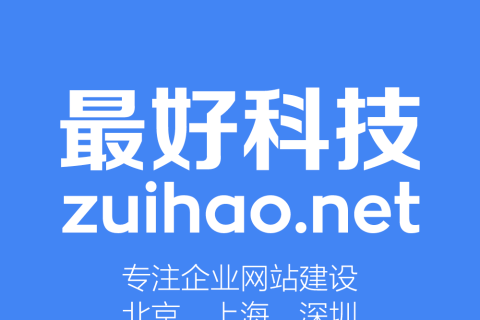 電商網站建設成功案例深度剖析